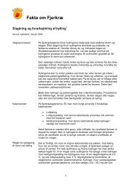 grøntsag definition grøntsag definition